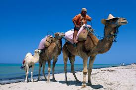 Tunisia